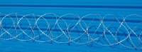 Колючая проволока СББ АКЛ 600/62/5 Колючая проволока СББ АКЛ 600/62/5
